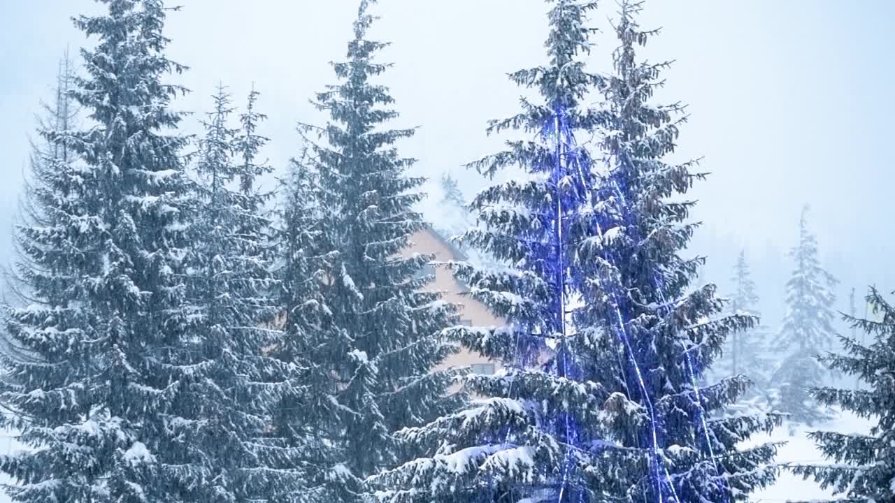 冰雪覆盖的树木构成了美丽的冬季景观。冬天的山。视频素材