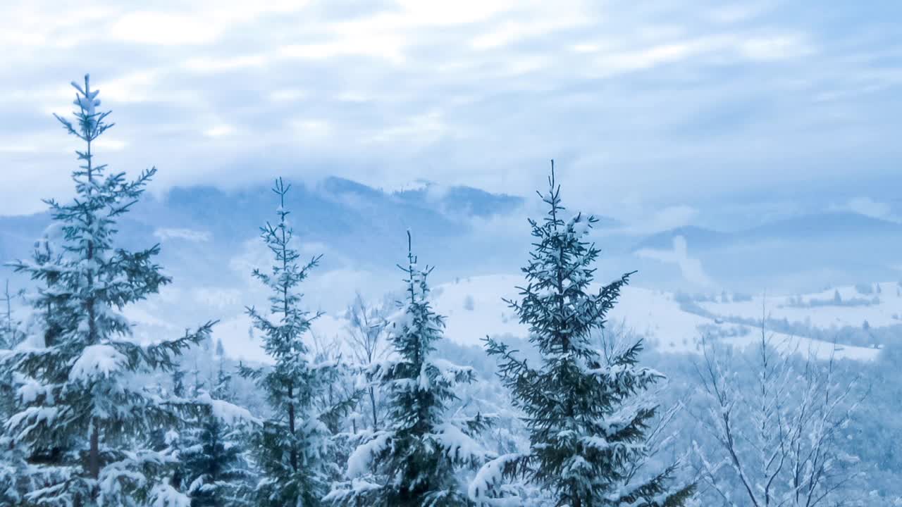 美丽的冬天的风景。云杉森林被冰雪覆盖的冬季景观视频素材