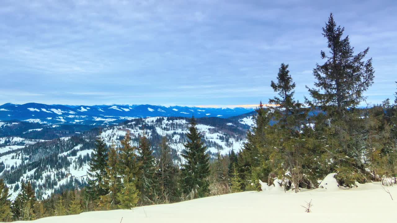 美丽的冬天的风景。云杉森林被冰雪覆盖的冬季景观视频素材