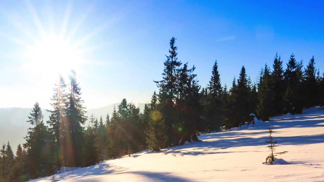 山冬季景观。云杉森林被冰雪覆盖的冬季景观视频素材