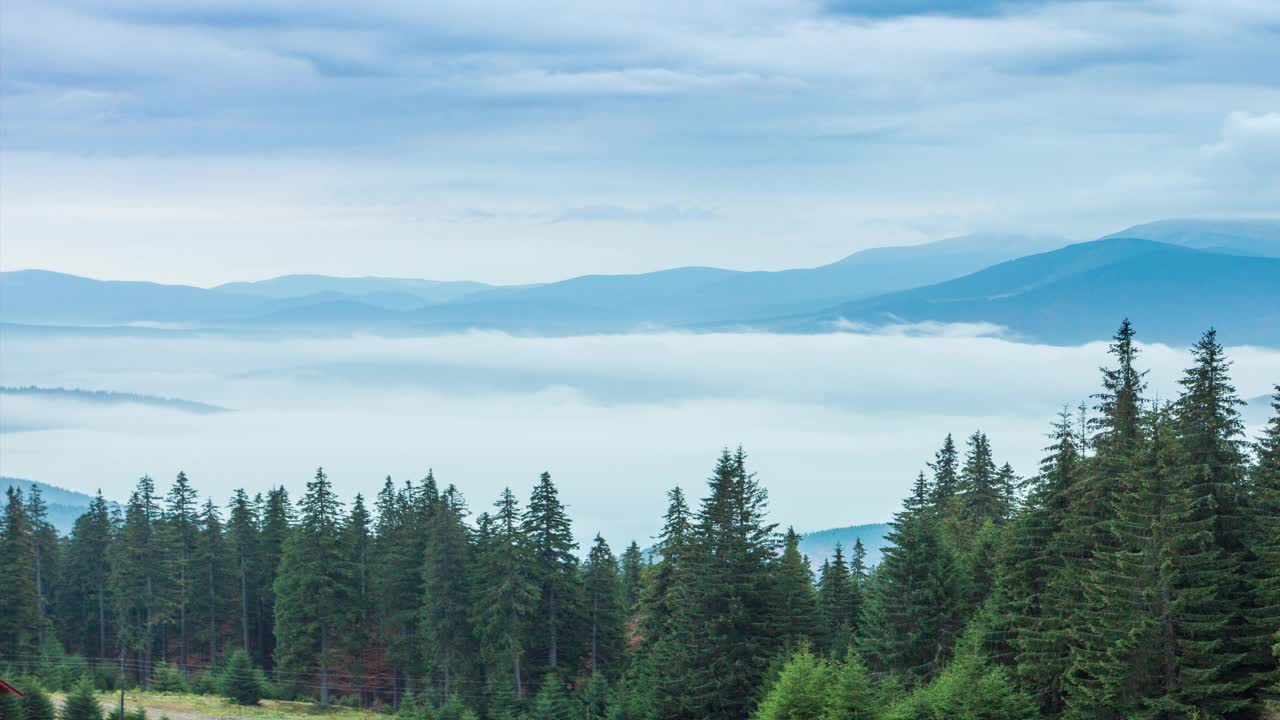 雨时，秋日山林中的白云缓缓飘动。雾中山峦中常绿松树林的宁静景色。美丽而神秘的风景。4 k。视频素材