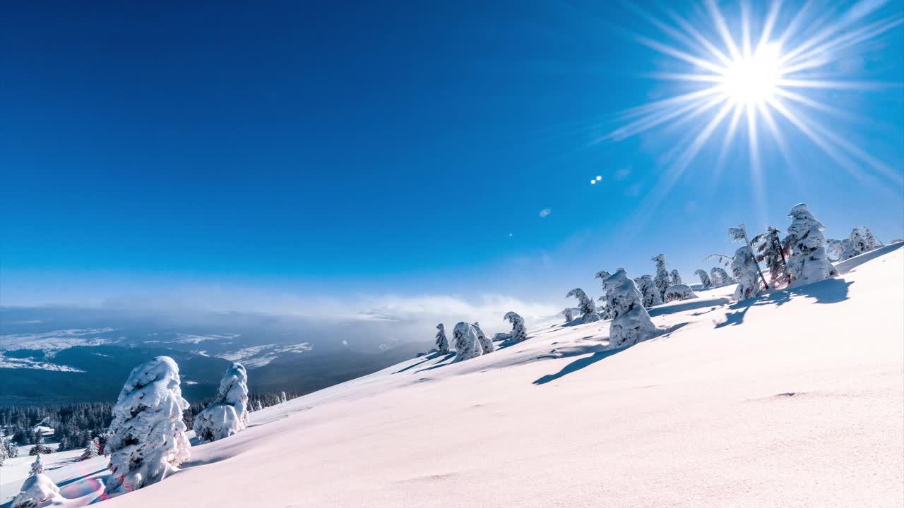 冰雪覆盖的树木构成了美丽的冬季景观。冬天的山。视频素材