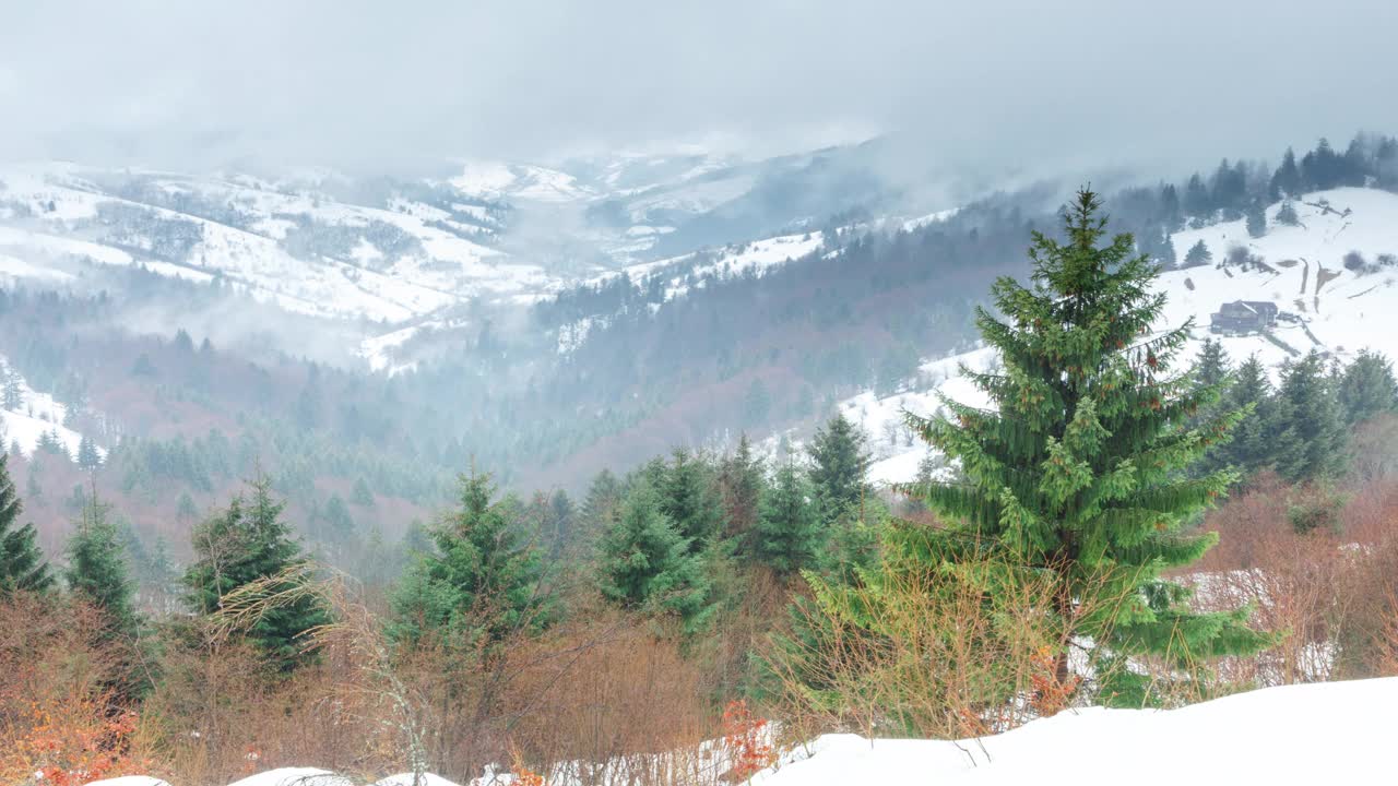 美丽的冬天的风景。云杉森林被冰雪覆盖的冬季景观视频素材