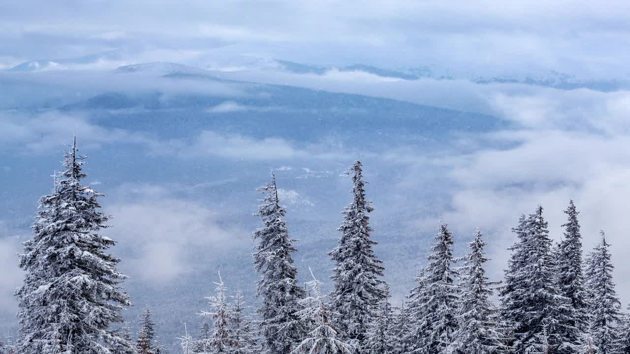 冰雪覆盖的树木构成了美丽的冬季景观。冬天的山。视频素材