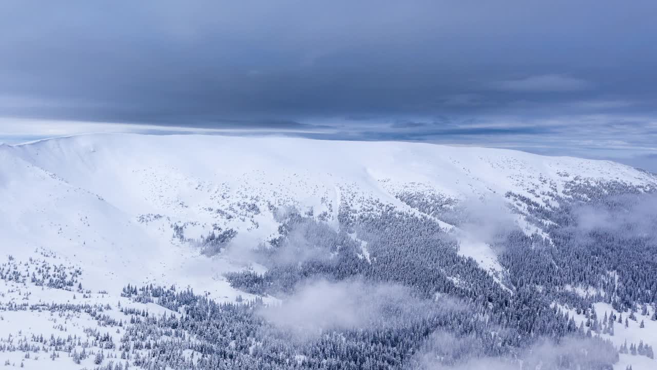 冰雪覆盖的树木构成了美丽的冬季景观。冬天的山。视频素材