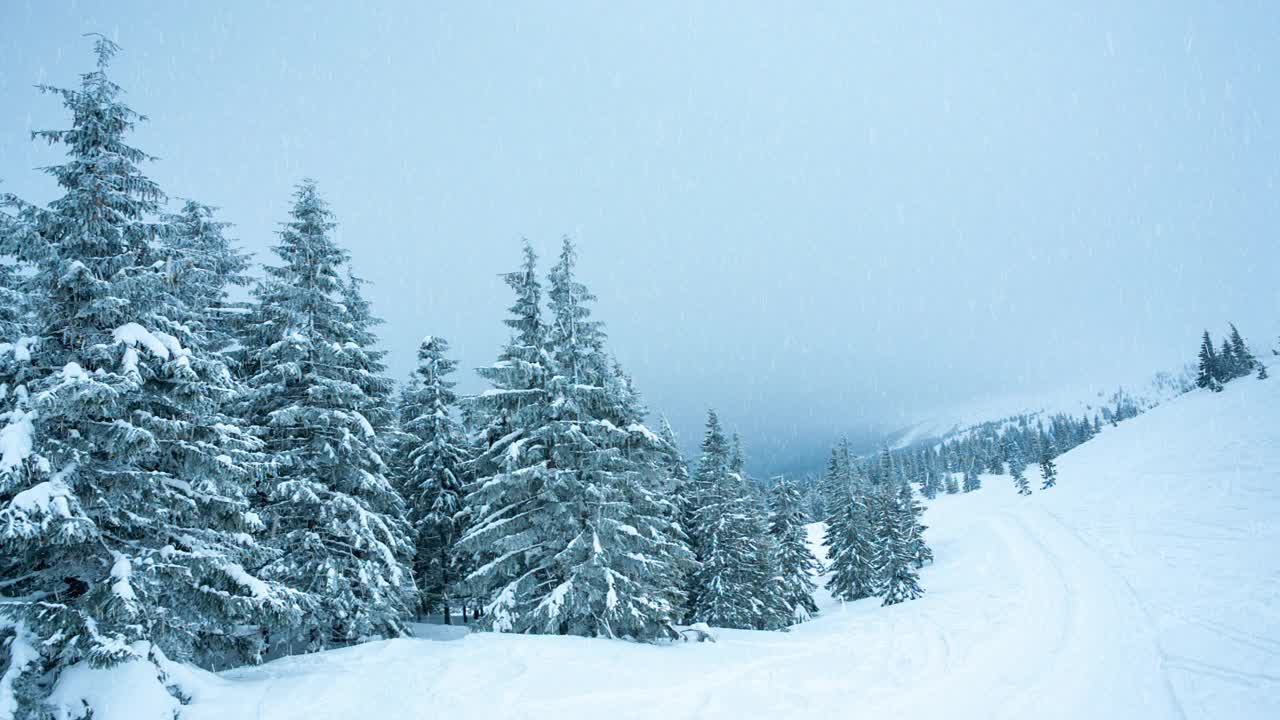 冰雪覆盖的树木构成了美丽的冬季景观。冬天的山。视频素材