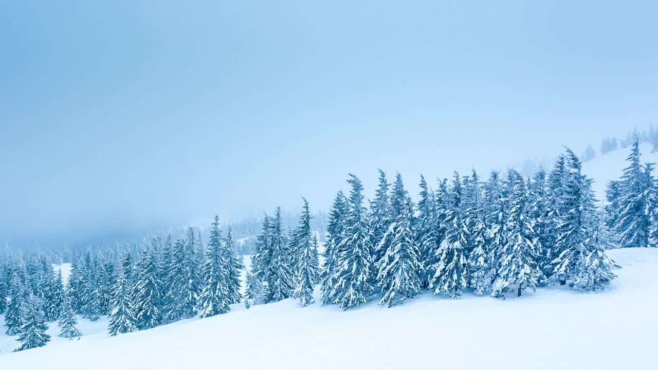 冰雪覆盖的树木构成了美丽的冬季景观。冬天的山。视频素材