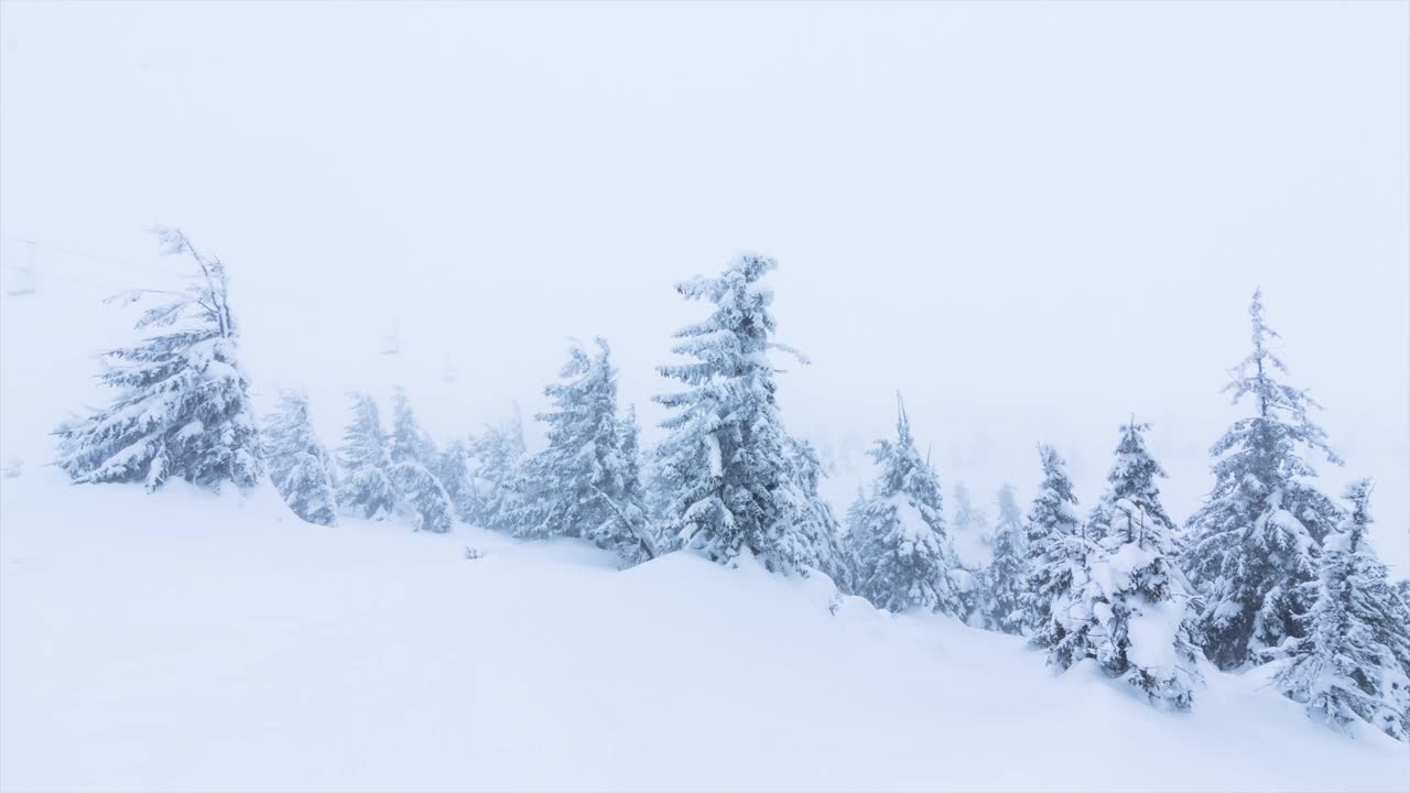 冰雪覆盖的树木构成了美丽的冬季景观。冬天的山。视频素材