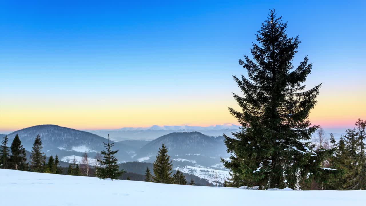 美丽的冬天的风景。云杉森林被冰雪覆盖的冬季景观视频素材