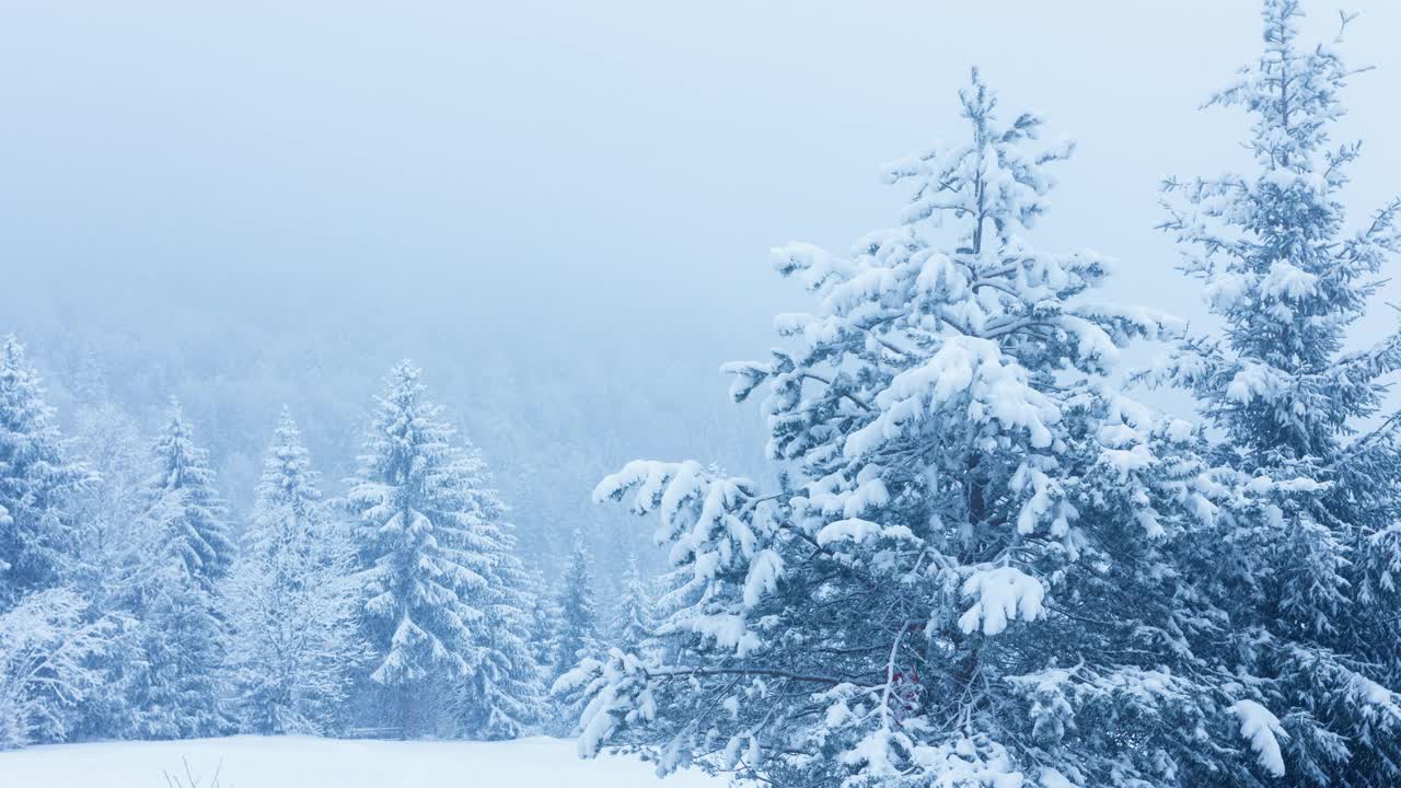 美丽的冬天的风景视频素材