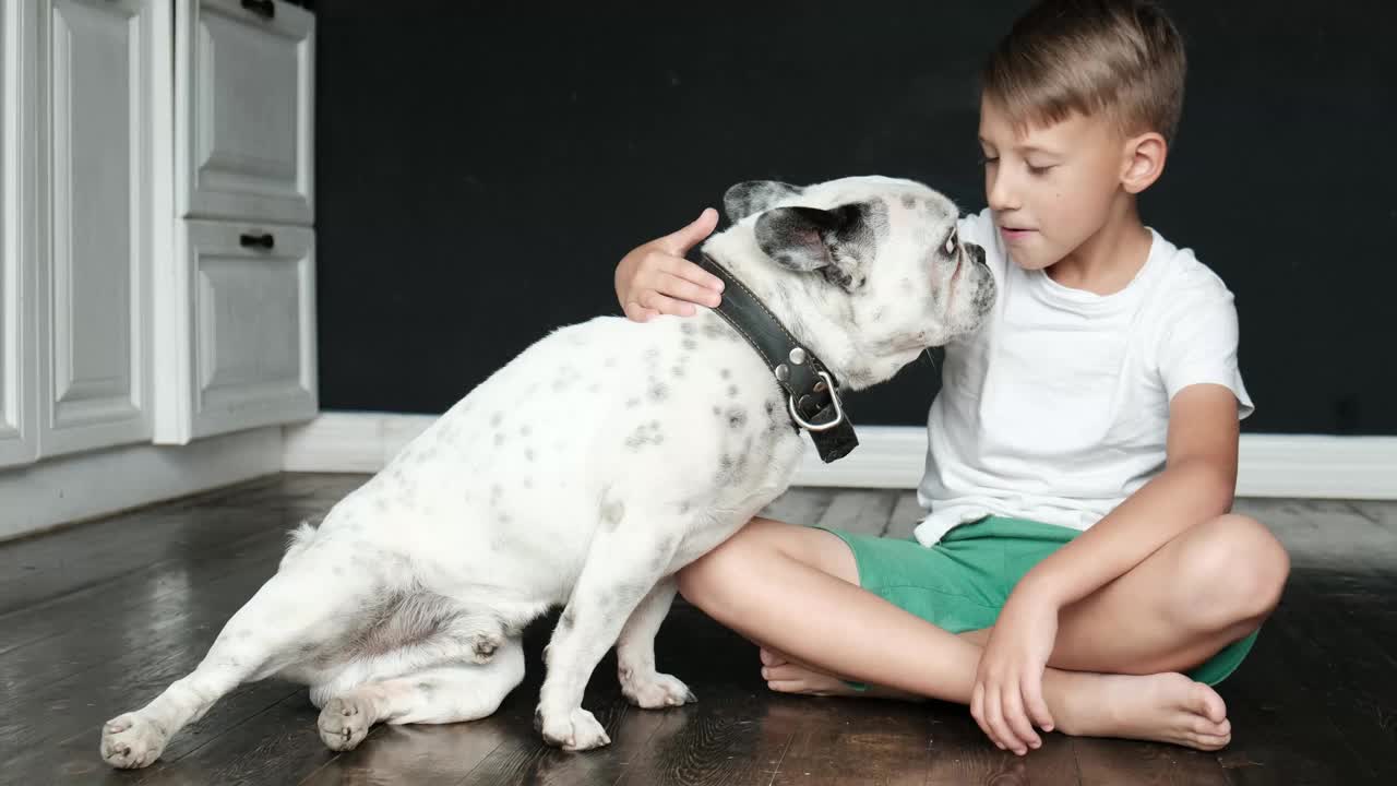 白色法国斗牛犬躺在地板上，男孩在家里视频素材