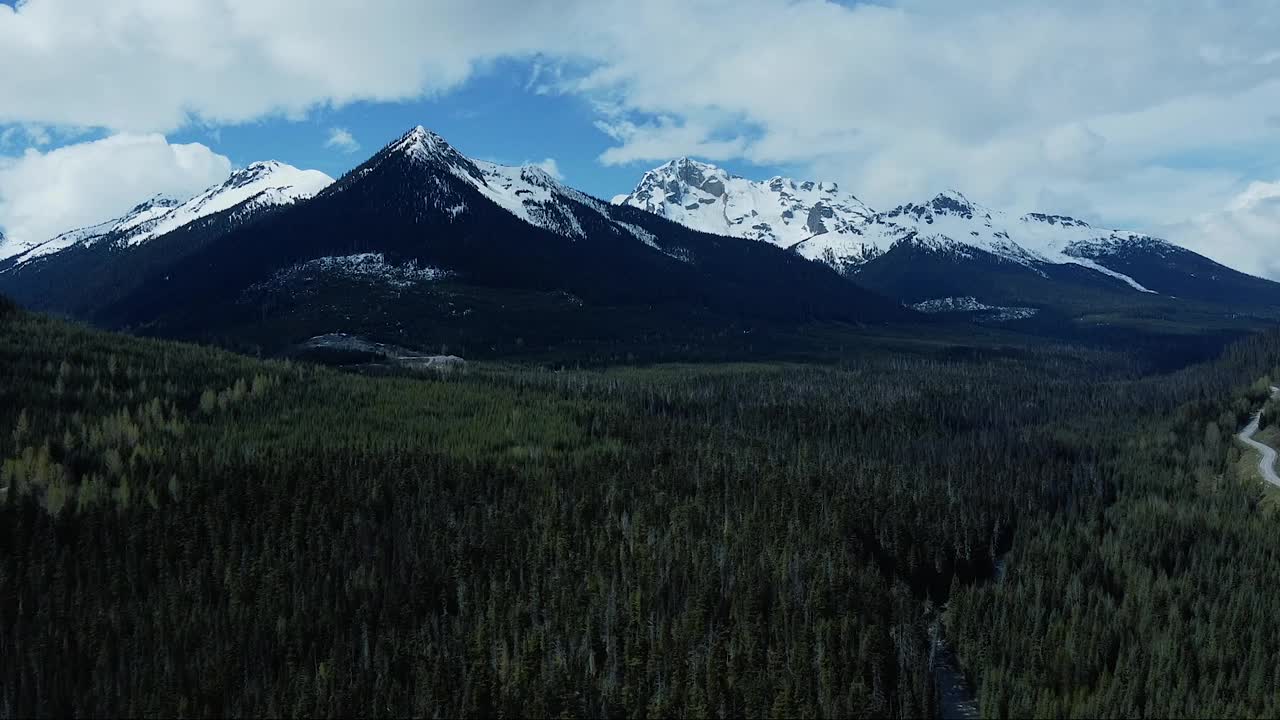 飞过无垠的云杉森林，背后是高山。山顶上覆盖着雪。加拿大晴朗的一天，蓝天白云。视频素材