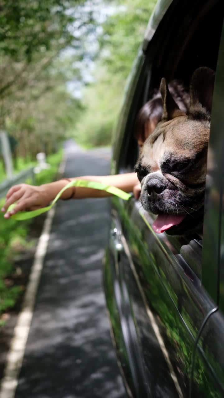 一个可爱的小女孩和她可爱的法国斗牛犬一起在乡间度假。视频素材