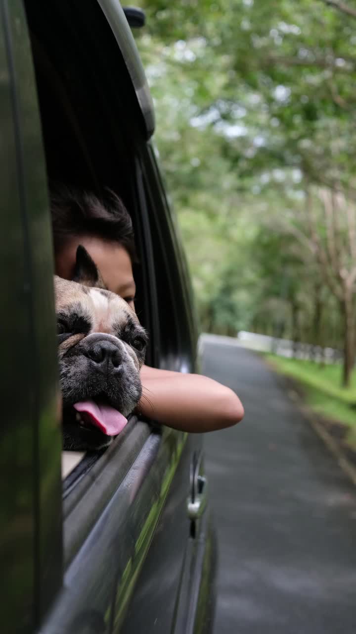 一个可爱的小女孩和她可爱的法国斗牛犬一起在乡间度假。视频素材