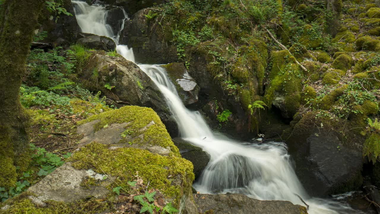 森林与岩石的时间流逝，Gratte Bruyere, Correze，法国，视频素材