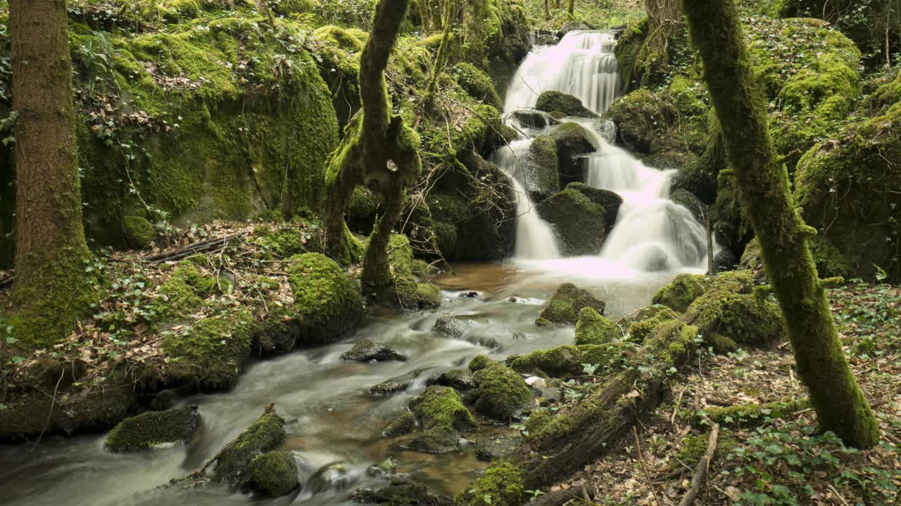 森林与岩石的时间流逝，Gratte Bruyere, Correze，法国，视频素材