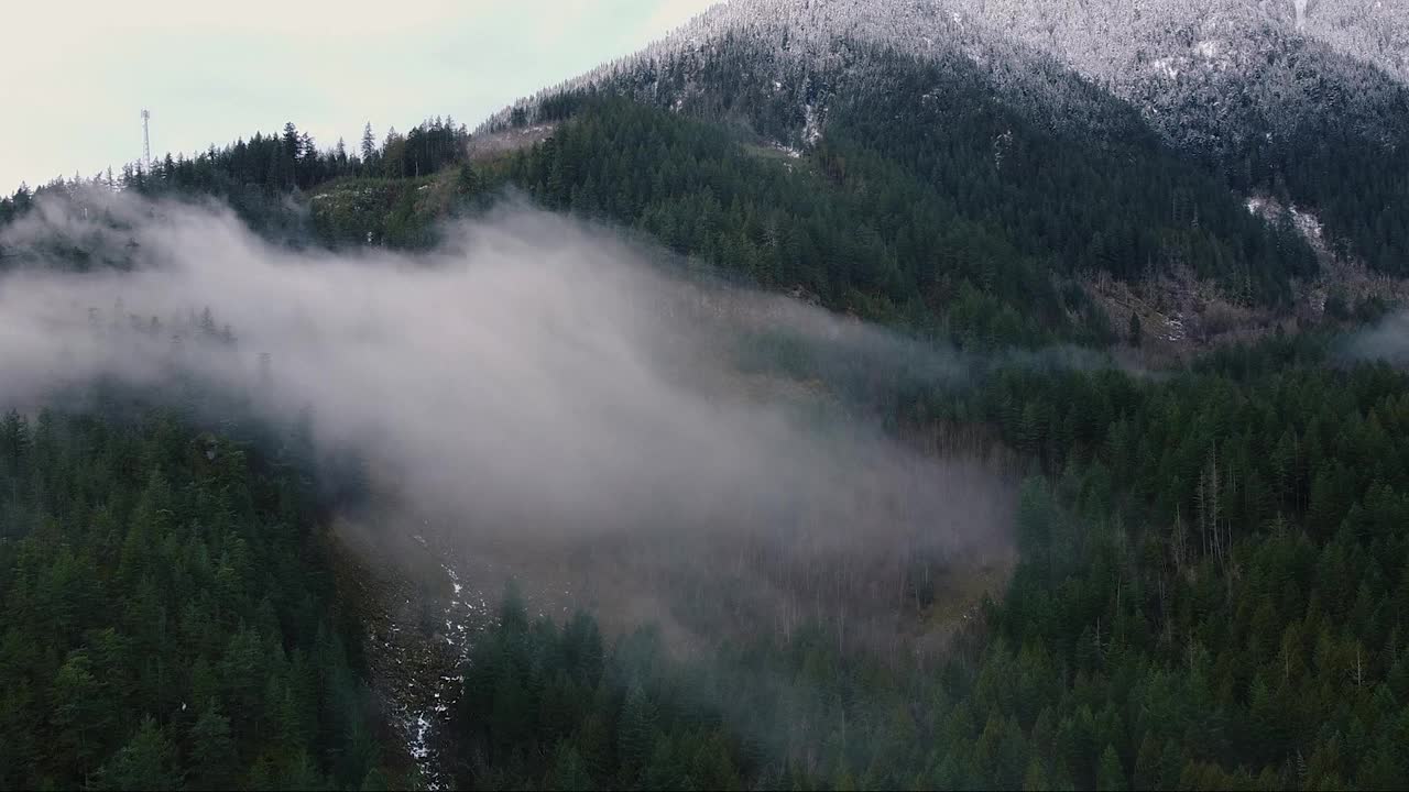 鸟瞰图的山与绿色的松树森林和山峰覆盖的雪视频素材