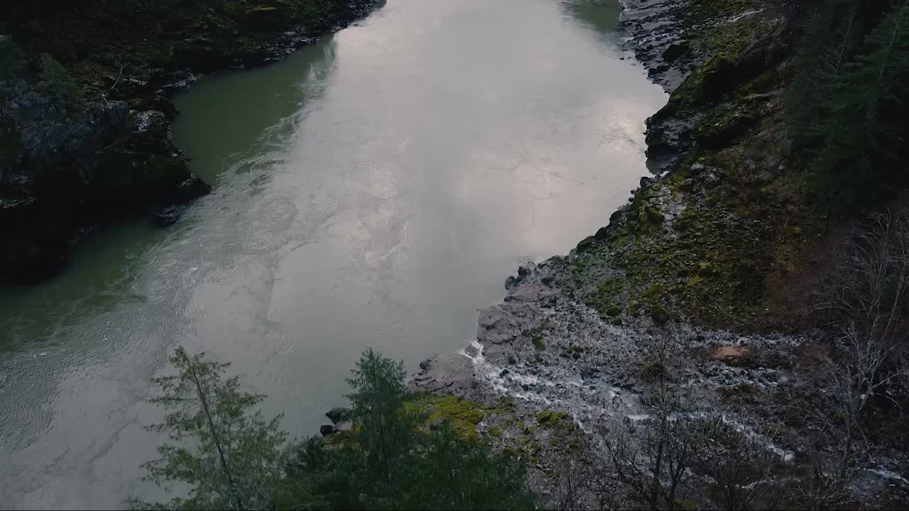 这是一条河的特写镜头，镜头前是一棵松树视频素材