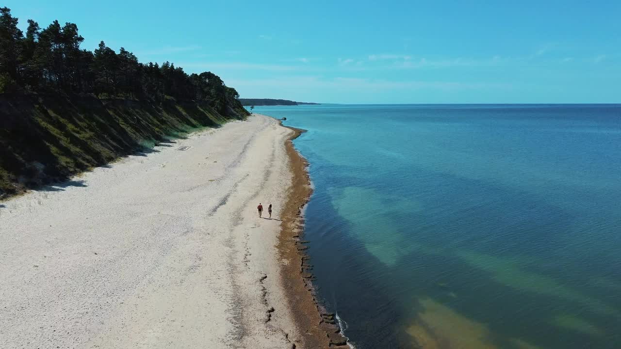 飞越海岸线波罗的海Jurkalne海滨悬崖附近的Pavilosta拉脱维亚和山体滑坡与杂草丛生，波纹洞点缀悬崖和鹅卵石。空中Dron视图。阳光明媚的夏天视频素材