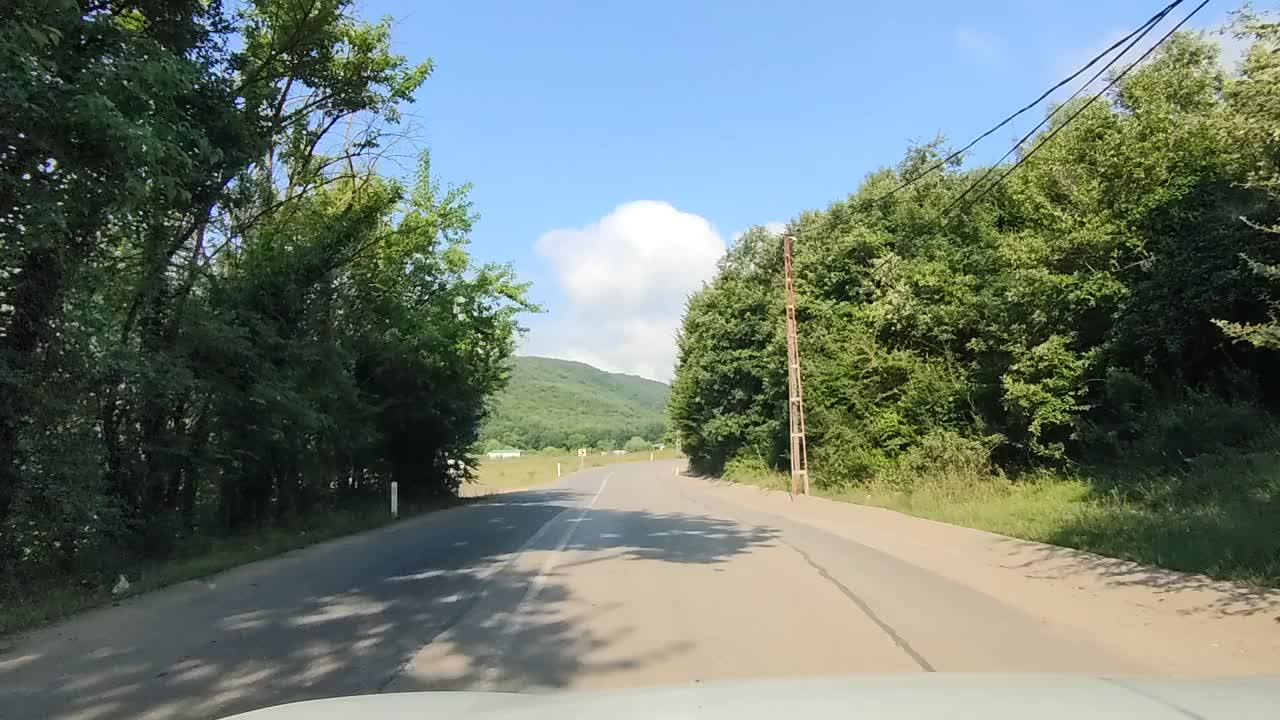 在柏油路上与奶牛一起在绿树和草地间穿梭视频素材