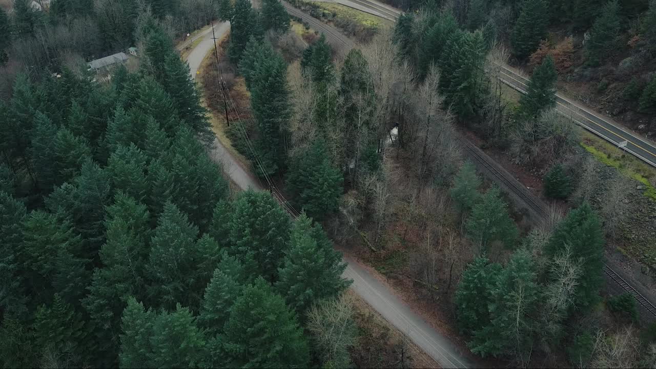 飞过孤独的公路和被大松树环绕的铁路视频素材