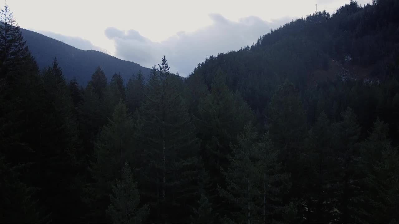 开幕处的桥头掩映在群山和翠绿的松树林中视频素材