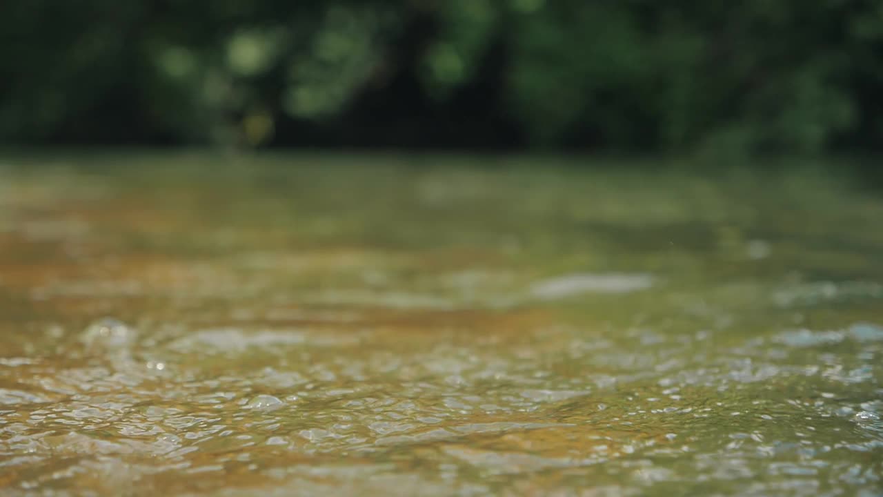 水清澈的小溪河流在森林深处流淌。特写，慢动作视频素材