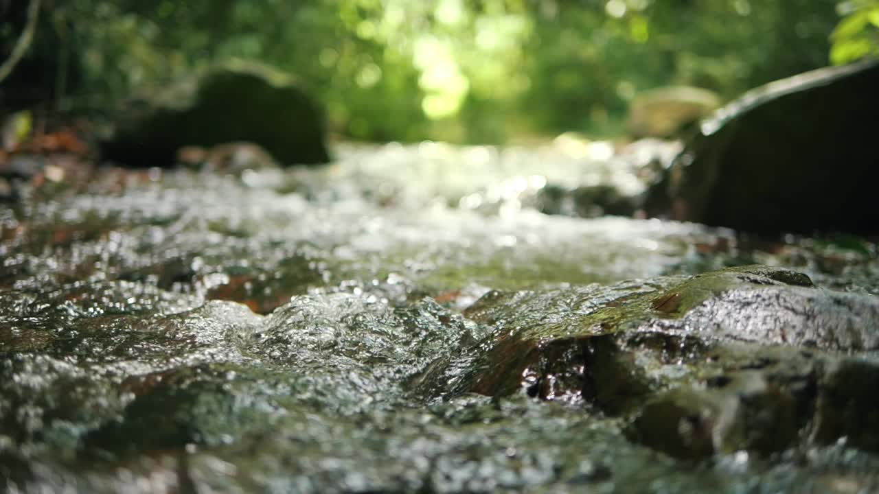 水清澈的小溪河流在森林深处流动，缓慢的运动视频素材