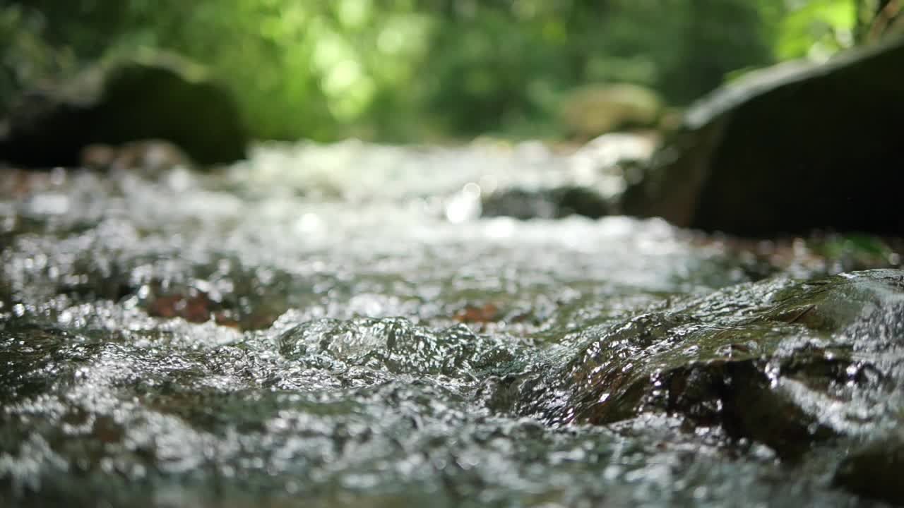 水清澈的小溪河流在森林深处流动，缓慢的运动视频素材