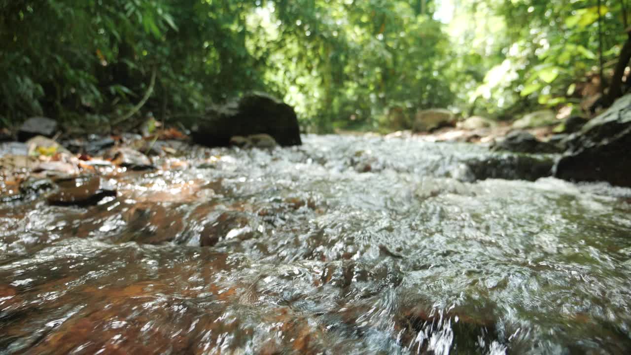 水清澈的小溪河流在森林深处流动，缓慢的运动视频素材