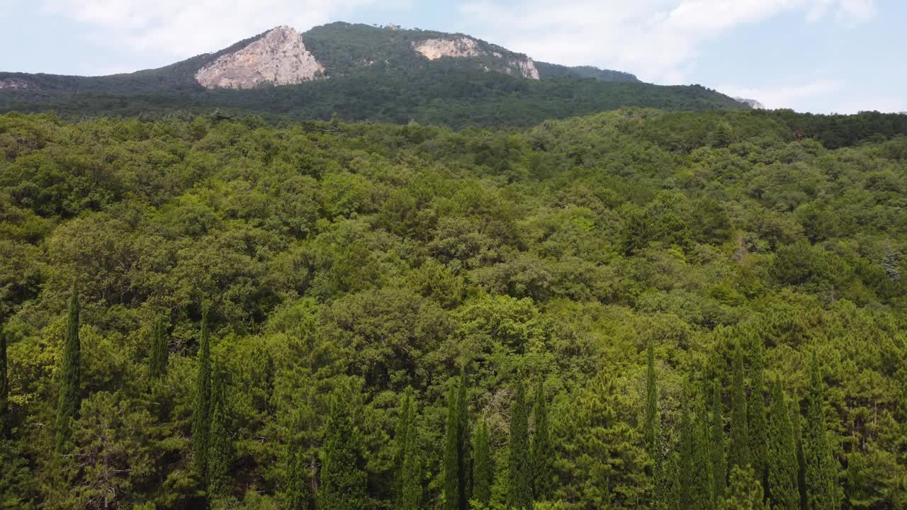 从空中看青山绿水。来自四轴飞行器的视频视频素材