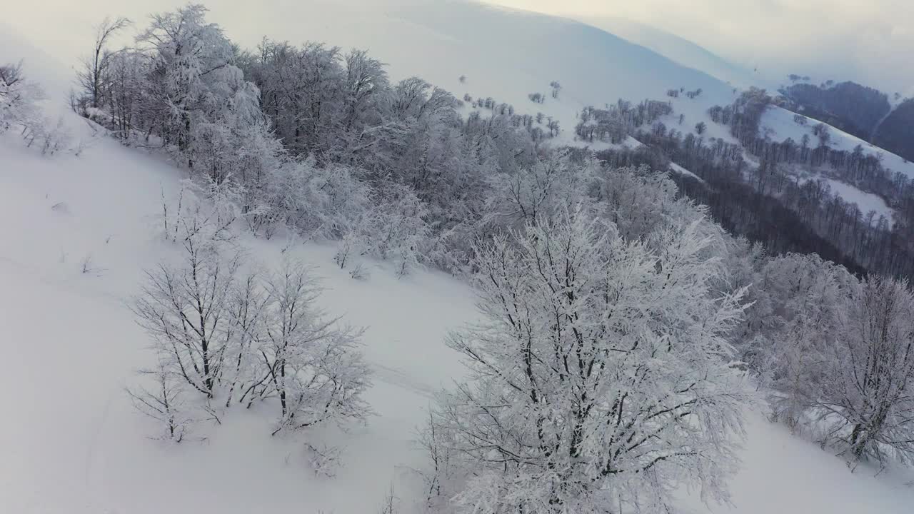 在寒冷而美丽的日落时分，光秃秃的森林掩映在山坡上视频素材