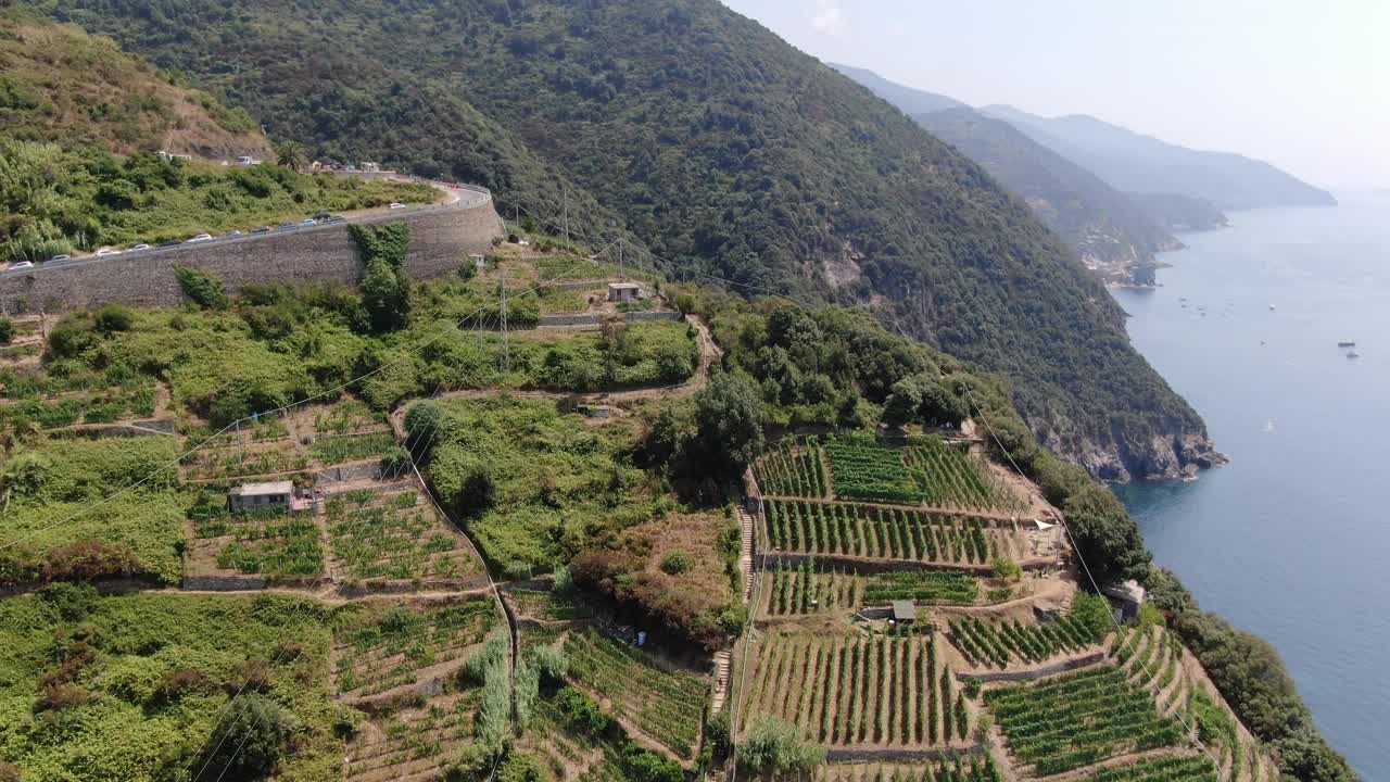 意大利五岛的蒙特罗索镇，山上的葡萄藤视频素材