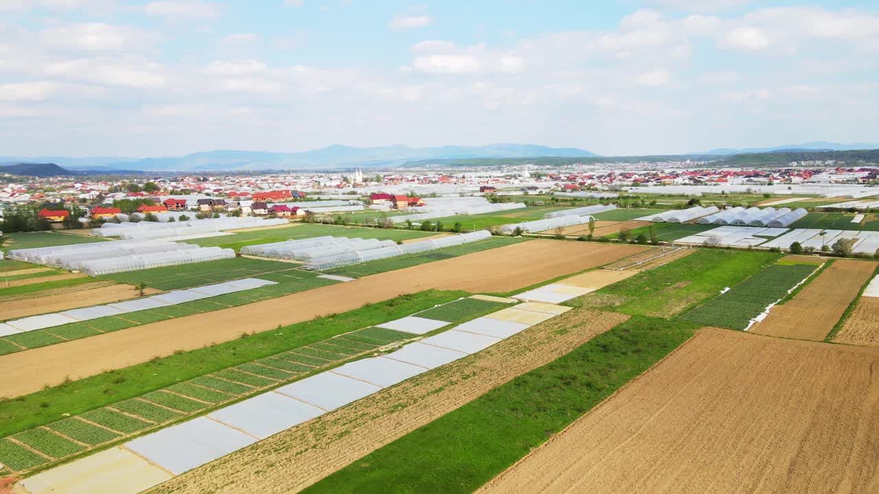 飞越温室和农业温室蔬菜的空中飞行视频素材