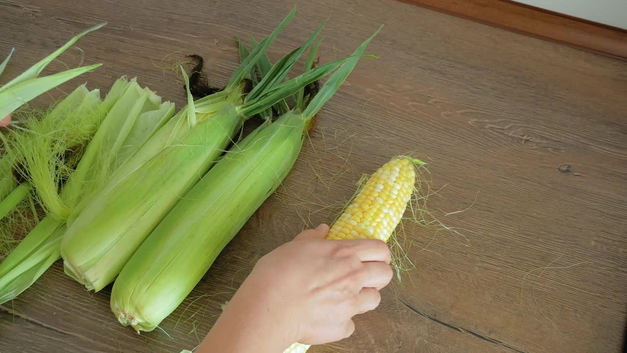 成熟的玉米棒在女人的手中视频素材