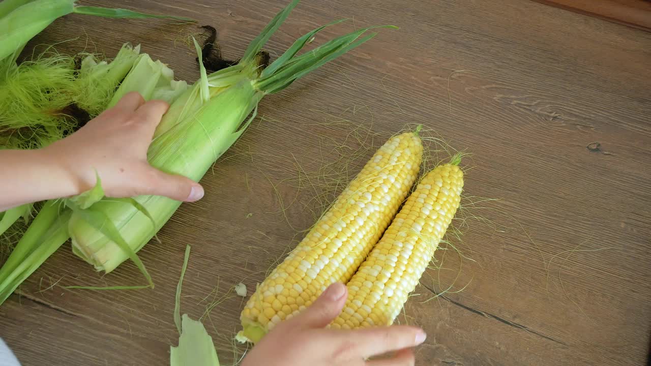 成熟的玉米棒在女人的手中视频素材