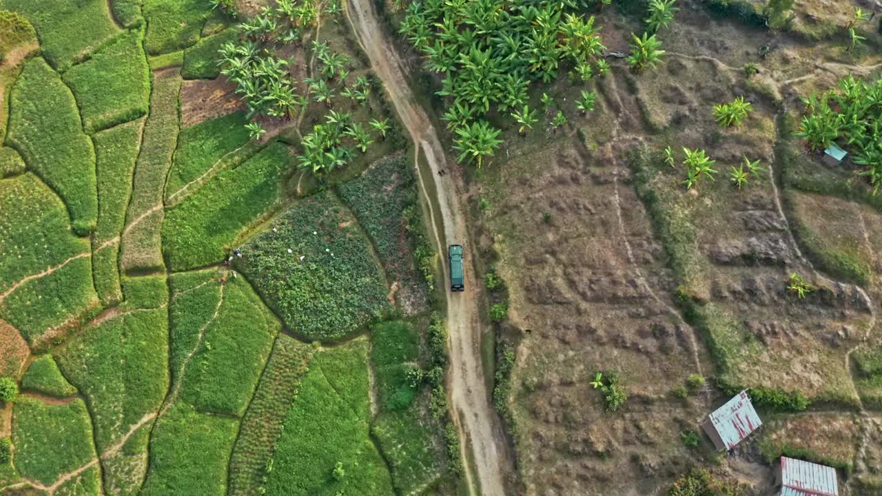 鸟瞰穿越森林的道路，穿越绿色森林的道路，森林中的鸟瞰顶视图车，从上面看森林的纹理，生态和健康的环境理念和背景。视频素材