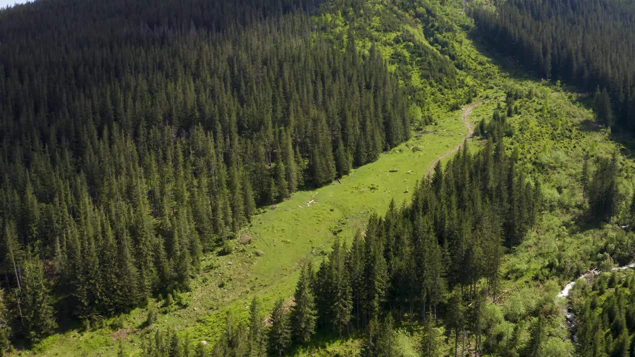 壮观的山景和徒步旅行在瑞士阿尔卑斯山的景观视频素材