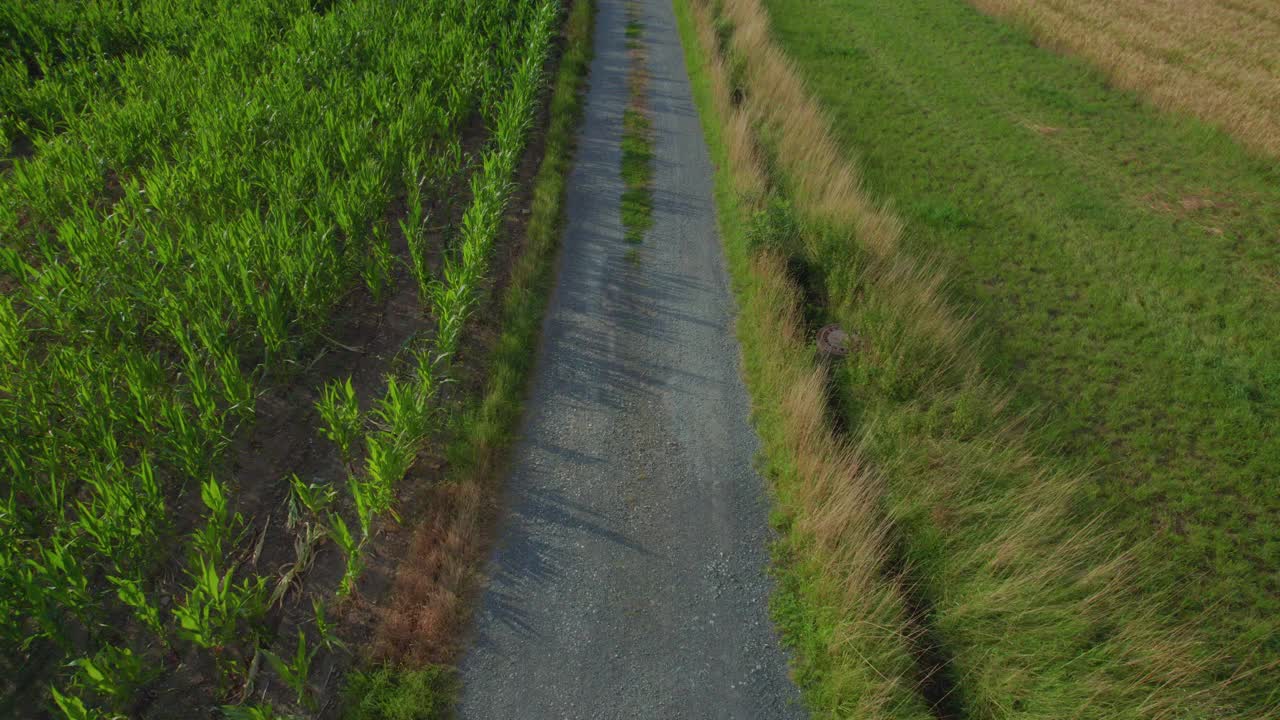 乡村景观中的乡村道路(空中)视频素材