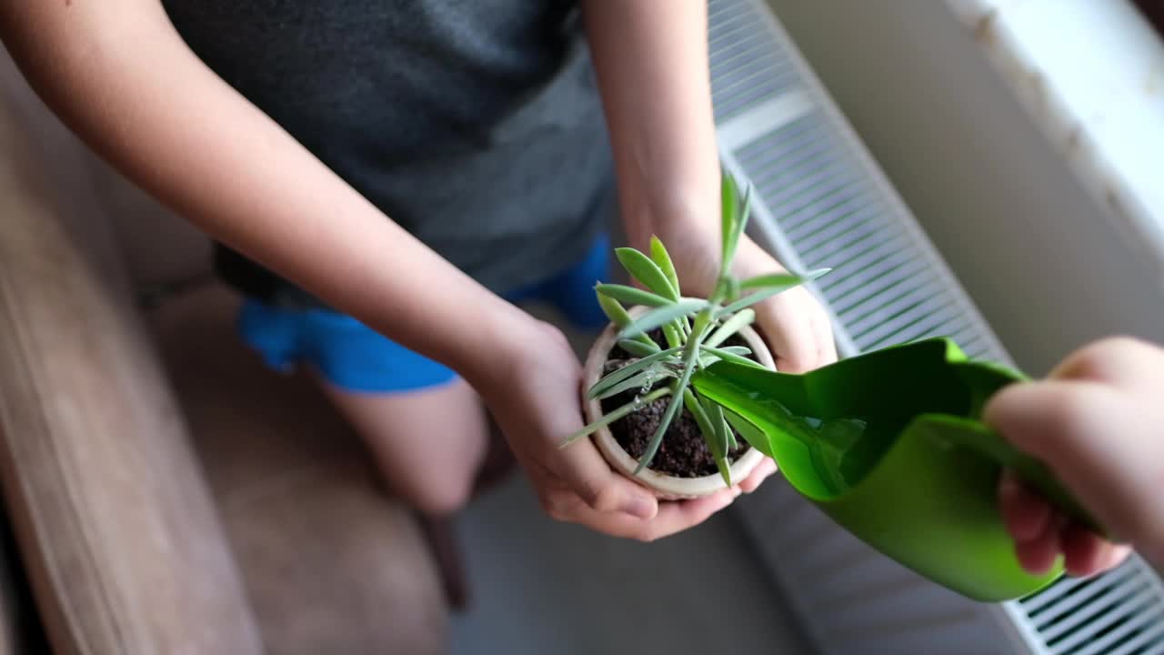 可爱的小女孩在花园里用喷壶给植物浇水。视频素材