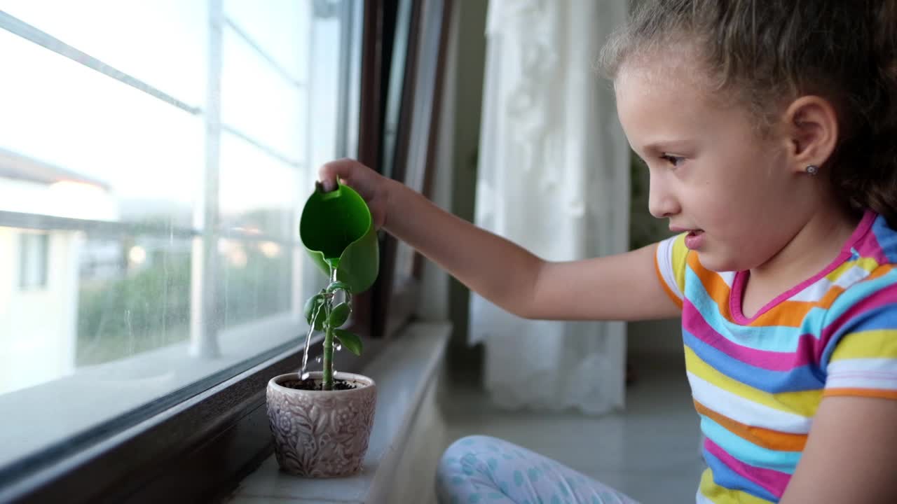 可爱的小女孩在花园里用喷壶给植物浇水。视频素材