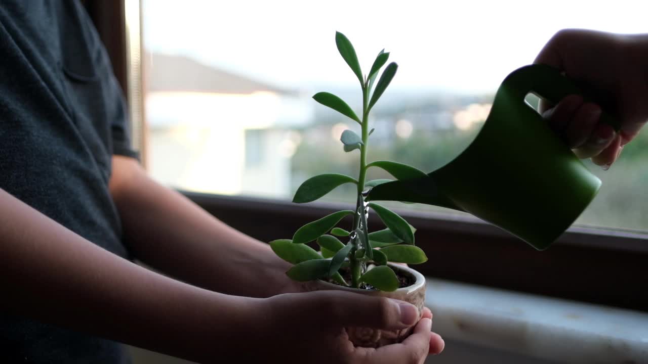 可爱的小女孩在花园里用喷壶给植物浇水。视频素材