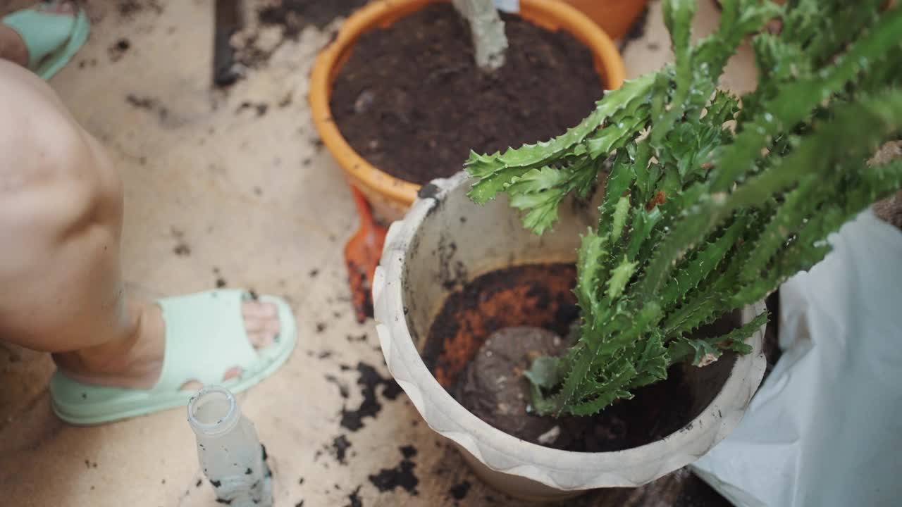 老年女性在家后院种植和装饰圣诞树视频素材