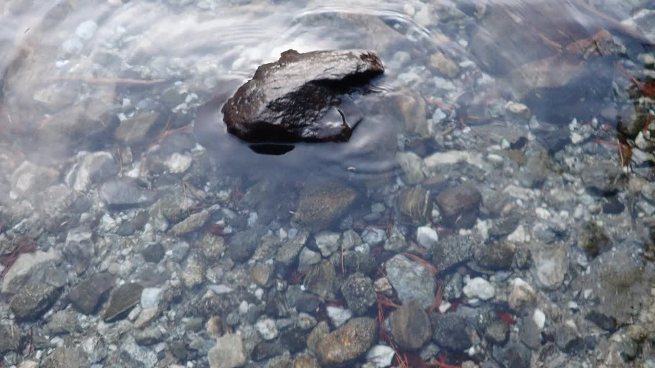 干净的高山湖泊。透明的水视频素材