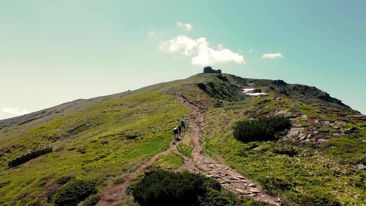 四个游客背着背包在夏天爬上山顶。从后面鸟瞰。爬山。一群游客爬上了山顶。从鸟瞰图上看，山景如画视频素材