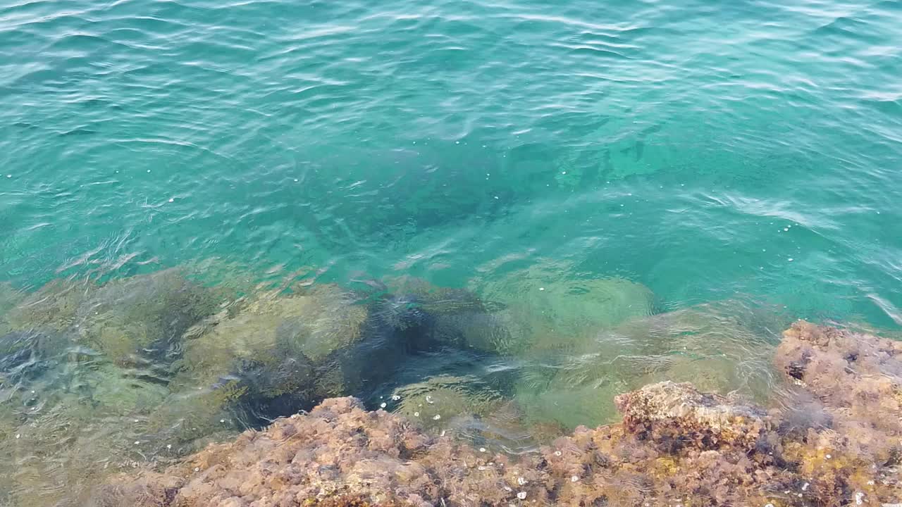 夏天清澈的大海和岸边的波浪视频素材