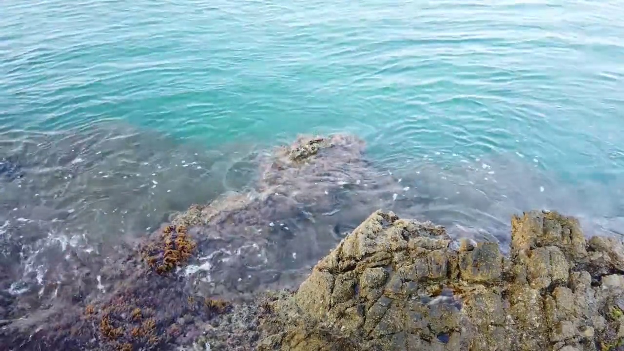 夏天清澈的大海和岸边的波浪视频素材