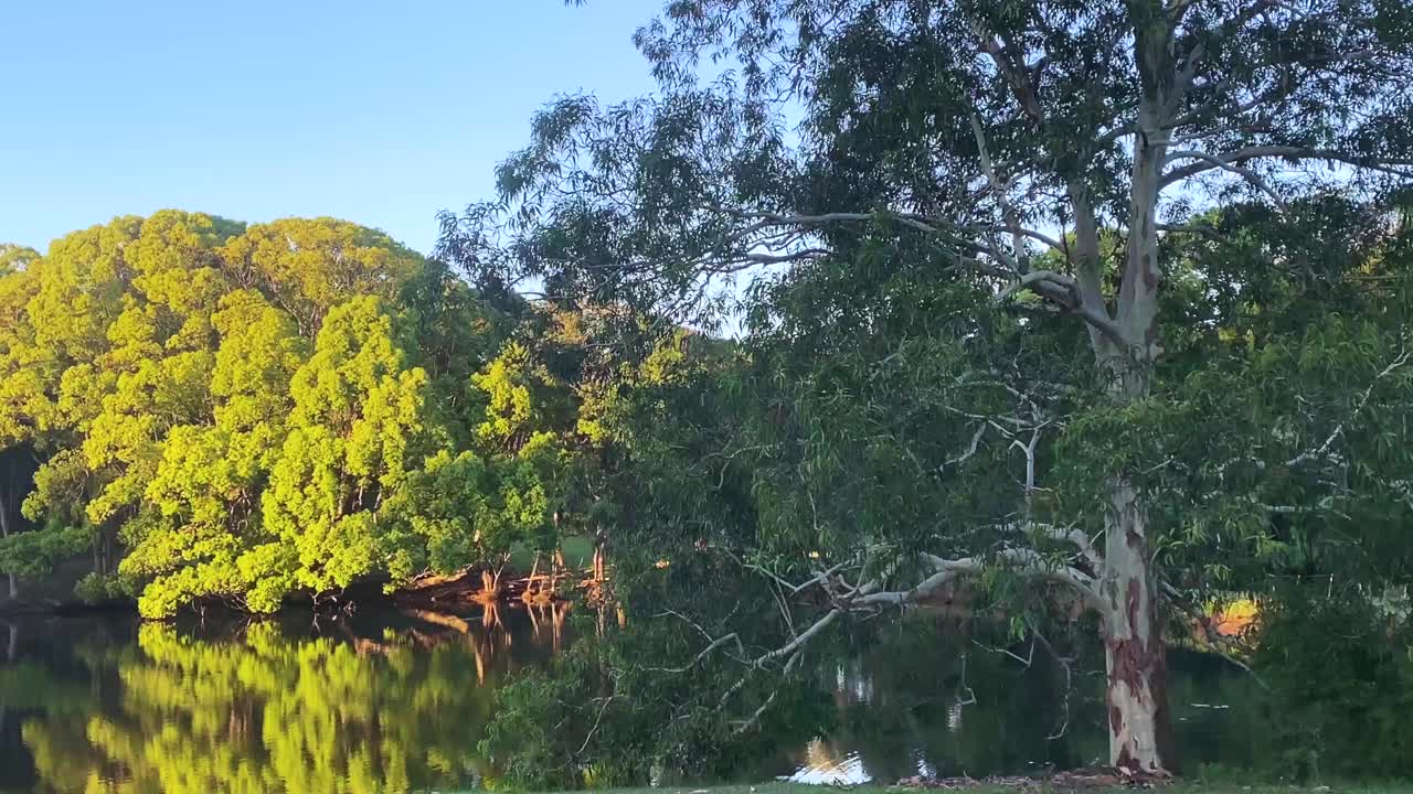 绿树成荫的湖与太阳辉光视频素材