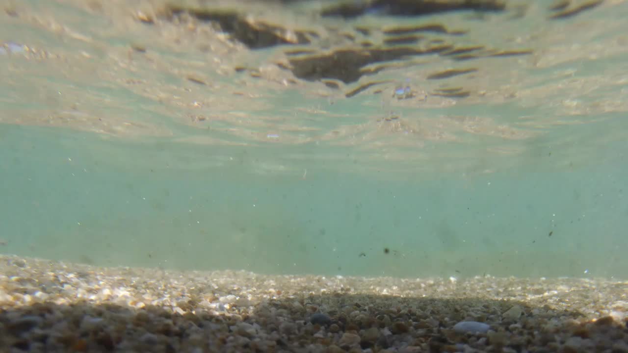 夏天清澈的大海和岸边的波浪视频素材