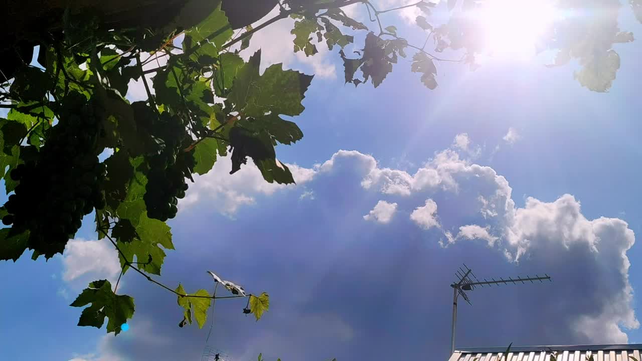 蓝色的天空和许多白云在夏天的背景视频素材